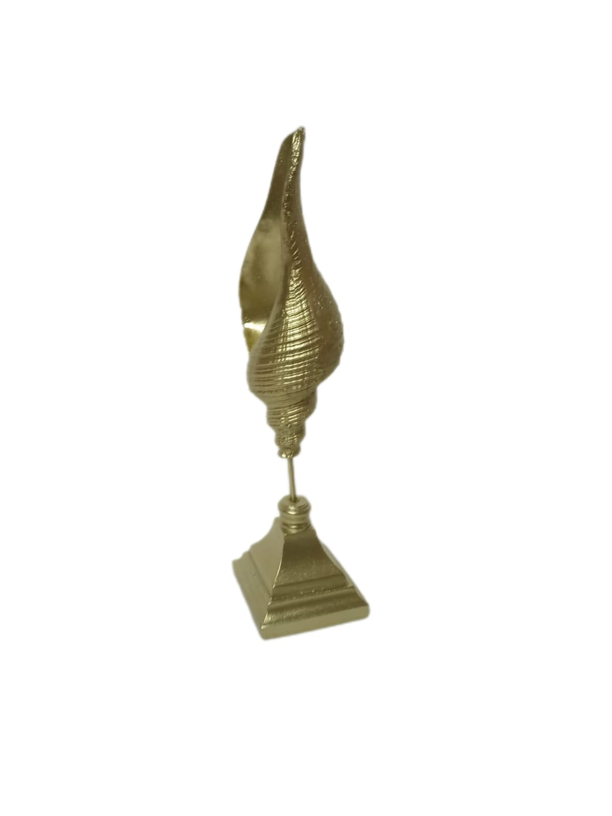 Skulptur Muschel 2er Set Gold