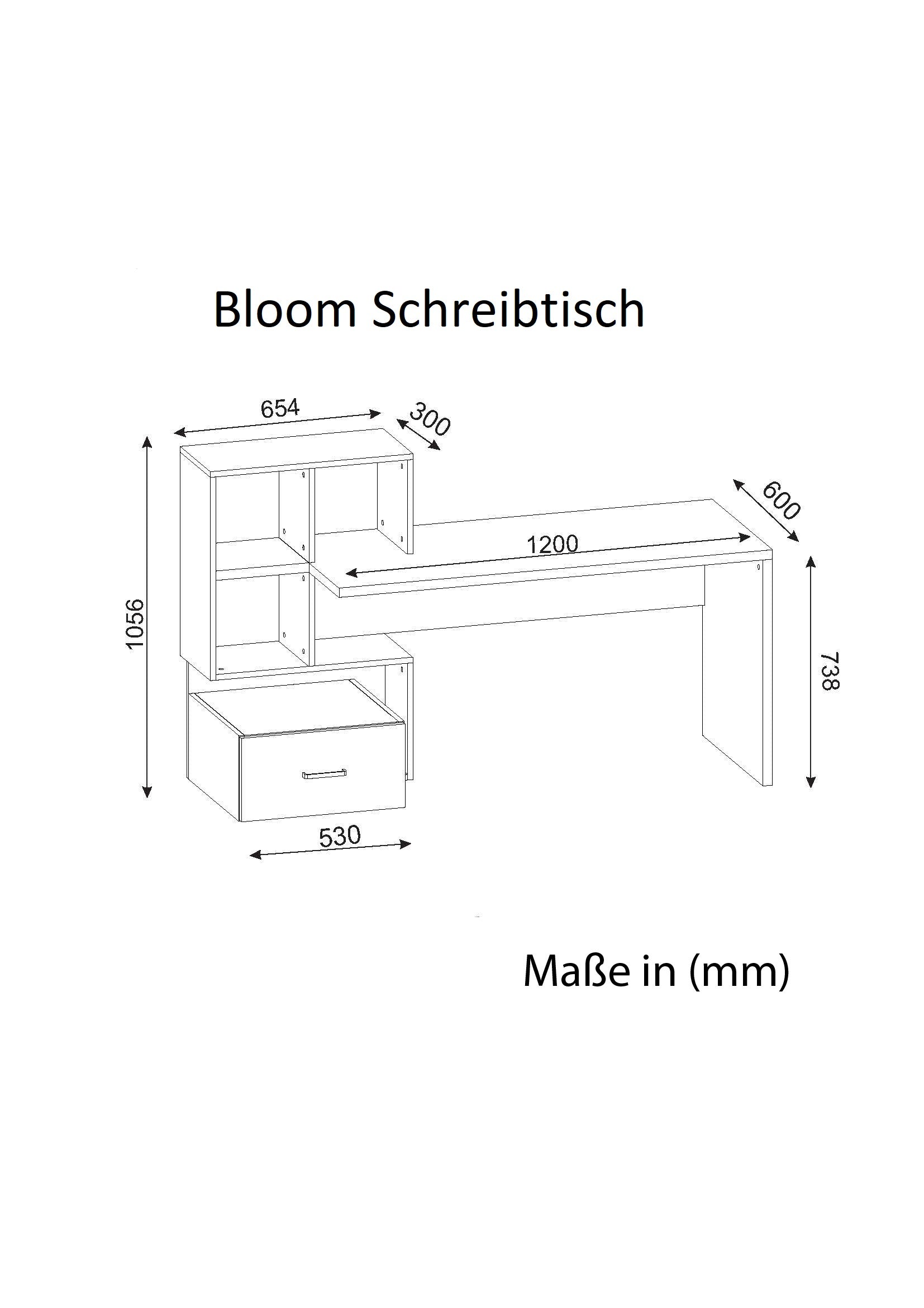 Schreibtisch  Bloom Weiß Walnuss